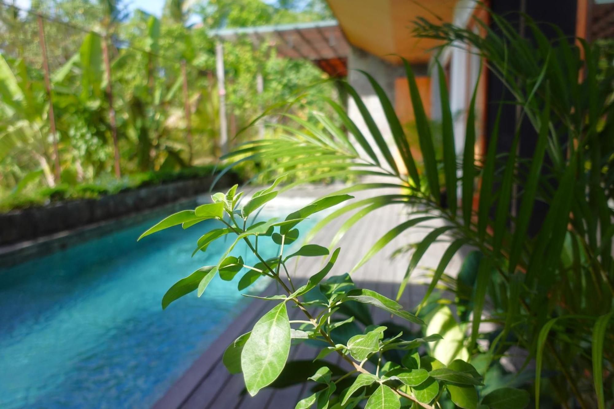 The Vinaya Boutique Hotel Ubud Kültér fotó